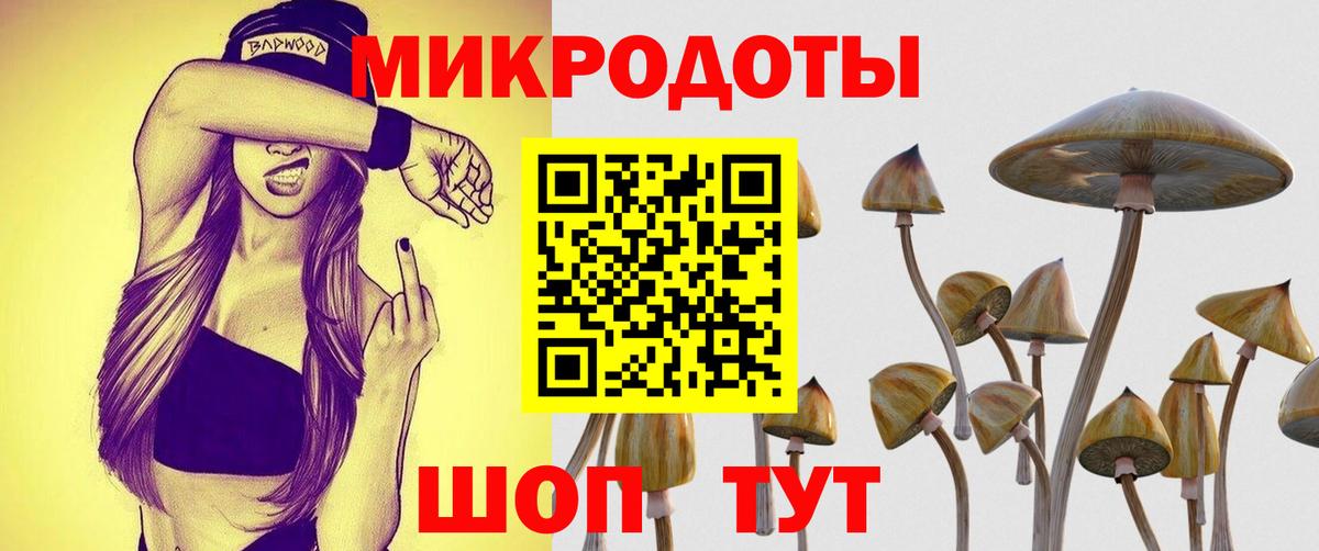 Псилоцибиновые грибы GOLDEN TEACHER Шелехов
